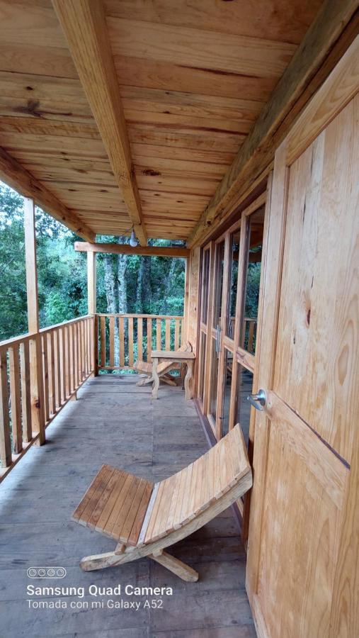 Cabana En El Bosque De San Jose Del Pacifico Luaran gambar